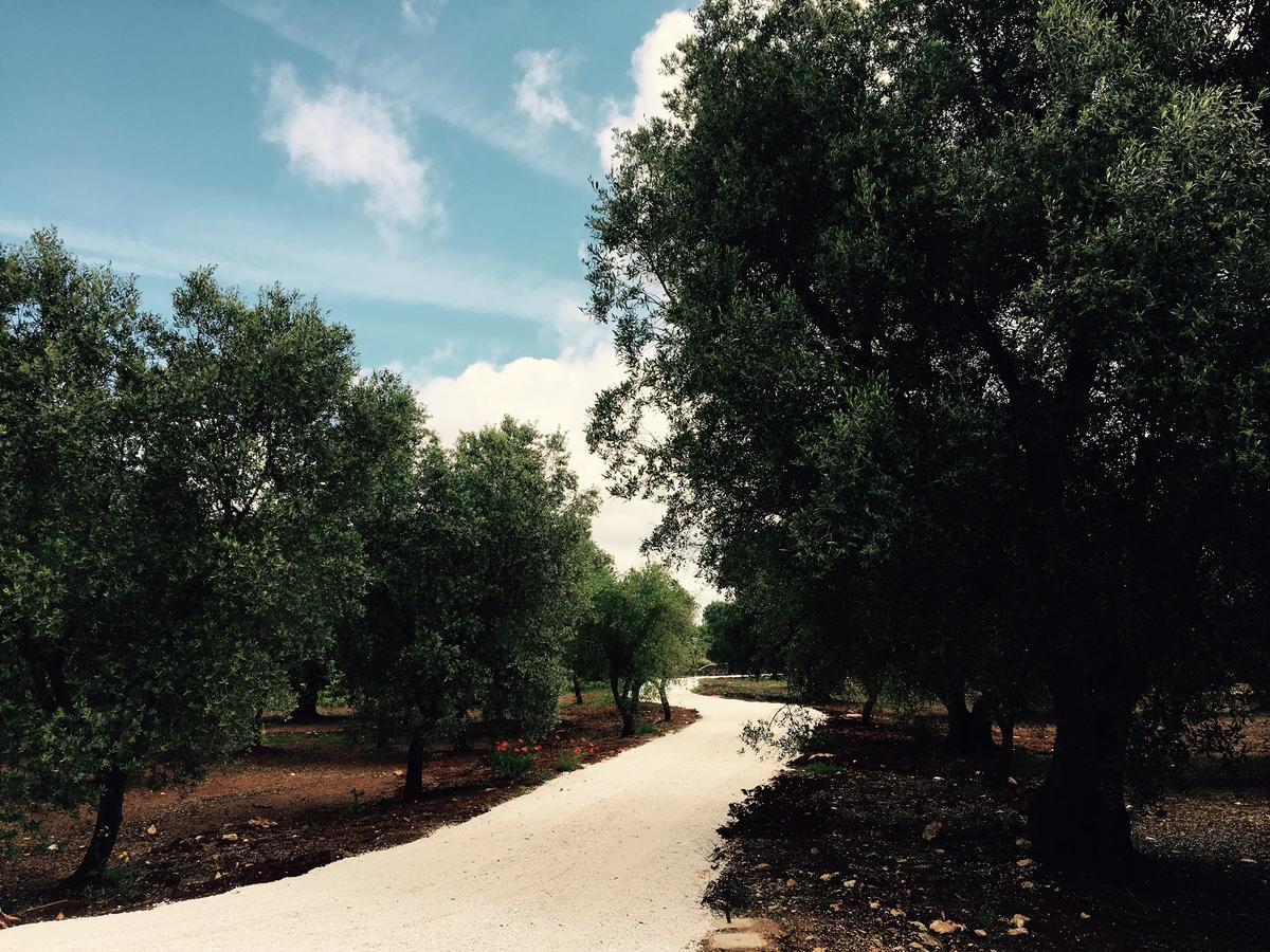 Fikus - The Apulian B&B Ceglie Messapica Exterior photo
